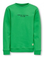 Future Sweater  /green